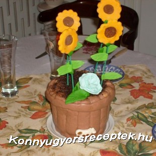 Virágcserép 