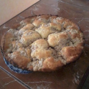 Fahéjjal szórt szilvás süti Fahéjjal szórt szilvás süti